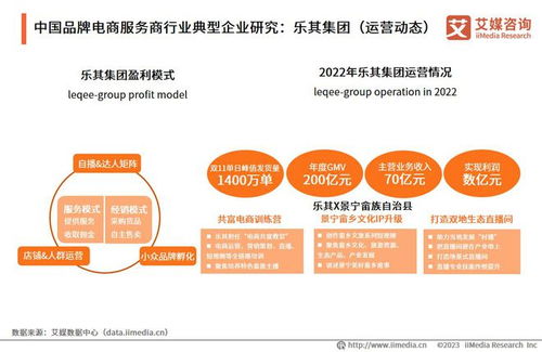 2023年中國品牌電商服務(wù)商行業(yè)研究報告 信息技術(shù)咨詢服務(wù)的機遇與挑戰(zhàn)